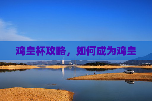 鸡皇杯攻略,如何成为鸡皇 鸡皇杯攻略,如何成为鸡皇