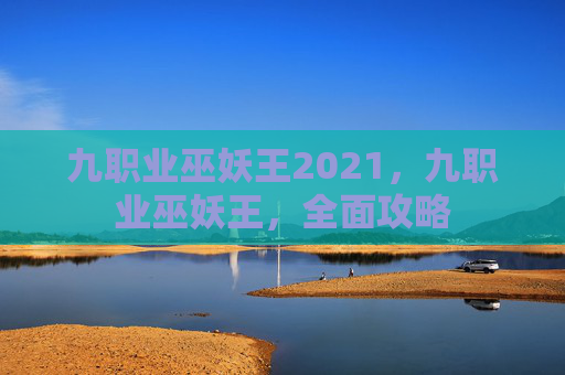 九职业巫妖王2021，九职业巫妖王，全面攻略