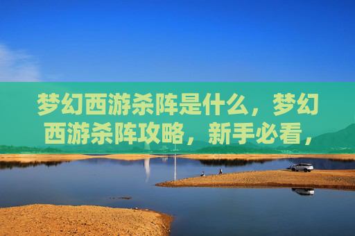 梦幻西游杀阵是什么，梦幻西游杀阵攻略，新手必看，让你轻松过关斩将！