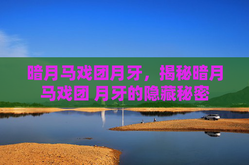 暗月马戏团月牙,揭秘暗月马戏团 月牙的隐藏秘密 暗月马戏团月牙,揭秘暗月马戏团 月牙的隐藏秘密