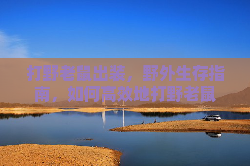 打野老鼠出装,野外生存指南,如何高效地打野老鼠 打野老鼠出装,野外生存指南,如何高效地打野老鼠