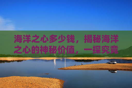 海洋之心多少钱，揭秘海洋之心的神秘价值，一探究竟