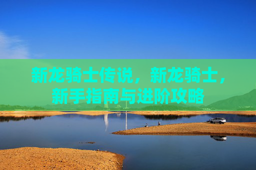 新龙骑士传说，新龙骑士，新手指南与进阶攻略