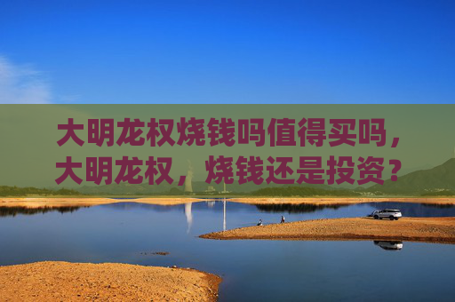大明龙权烧钱吗值得买吗,大明龙权,烧钱还是投资?深度解析游戏经济系统 大明龙权烧钱吗值得买吗,大明龙权,烧钱还是投资?深度解析游戏经济系统