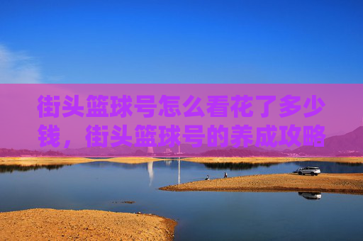 街头篮球号怎么看花了多少钱，街头篮球号的养成攻略，从新手到高手的全面指南