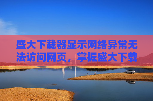 盛大下载器显示网络异常无法访问网页，掌握盛大下载器2010，高效下载与管理技巧