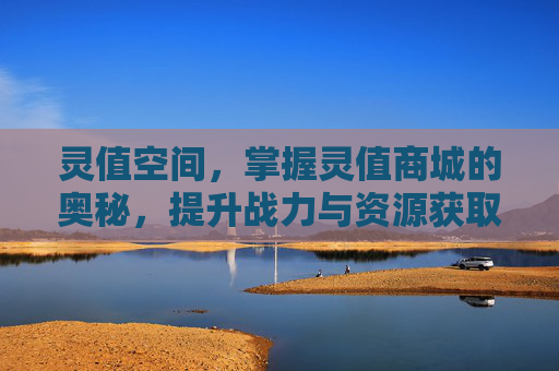 灵值空间,掌握灵值商城的奥秘,提升战力与资源获取攻略 灵值空间,掌握灵值商城的奥秘,提升战力与资源获取攻略