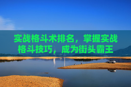 实战格斗术排名,掌握实战格斗技巧,成为街头霸王 实战格斗术排名,掌握实战格斗技巧,成为街头霸王