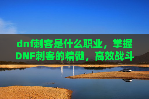 dnf刺客是什么职业,掌握DNF刺客的精髓,高效战斗与策略指南 dnf刺客是什么职业,掌握DNF刺客的精髓,高效战斗与策略指南