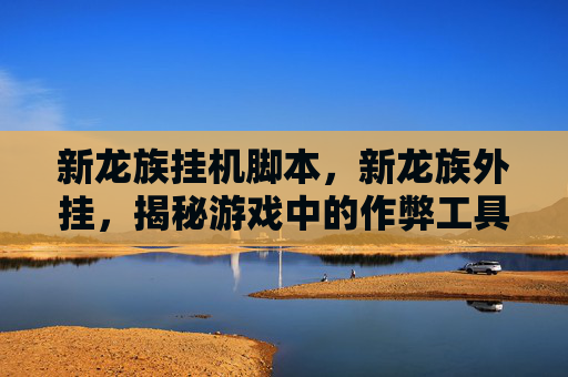 新龙族挂机脚本,新龙族外挂,揭秘游戏中的作弊工具与应对策略 新龙族挂机脚本,新龙族外挂,揭秘游戏中的作弊工具与应对策略