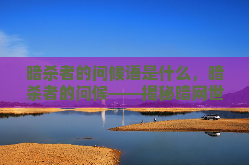 暗杀者的问候语是什么，暗杀者的问候——揭秘暗网世界中的神秘交易