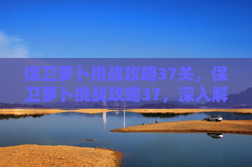 保卫萝卜挑战攻略37关，保卫萝卜挑战攻略37，深入解析与实用技巧