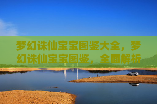 梦幻诛仙宝宝图鉴大全，梦幻诛仙宝宝图鉴，全面解析与实用攻略