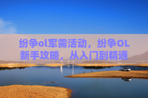 纷争ol军需活动，纷争OL新手攻略，从入门到精通