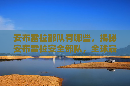 安布雷拉部队有哪些,揭秘安布雷拉安全部队,全球最神秘的特种部队之一 安布雷拉部队有哪些,揭秘安布雷拉安全部队,全球最神秘的特种部队之一