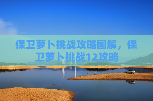 保卫萝卜挑战攻略图解，保卫萝卜挑战12攻略