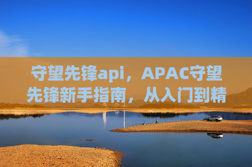守望先锋api，APAC守望先锋新手指南，从入门到精通的全面攻略
