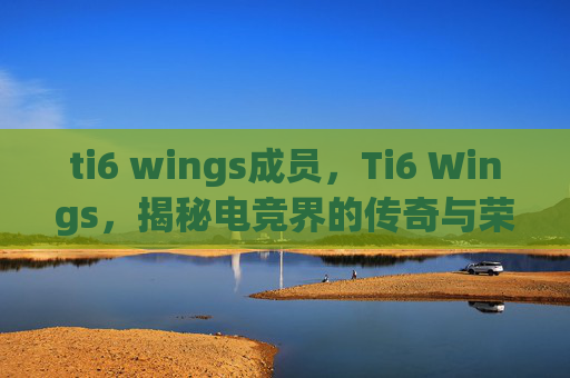 ti6 wings成员，Ti6 Wings，揭秘电竞界的传奇与荣耀