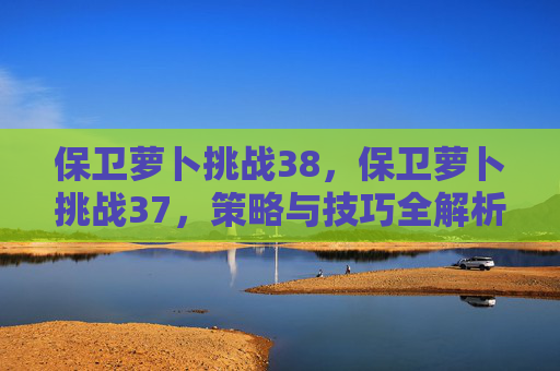 保卫萝卜挑战38,保卫萝卜挑战37,策略与技巧全解析 保卫萝卜挑战38,保卫萝卜挑战37,策略与技巧全解析