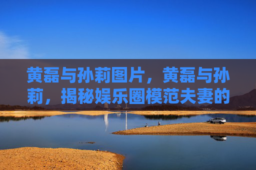 黄磊与孙莉图片，黄磊与孙莉，揭秘娱乐圈模范夫妻的甜蜜秘诀