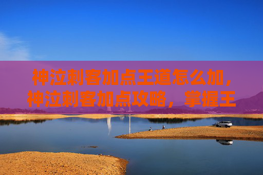 神泣刺客加点王道怎么加,神泣刺客加点攻略,掌握王道技巧,成为游戏中的终极刺客 神泣刺客加点王道怎么加,神泣刺客加点攻略,掌握王道技巧,成为游戏中的终极刺客