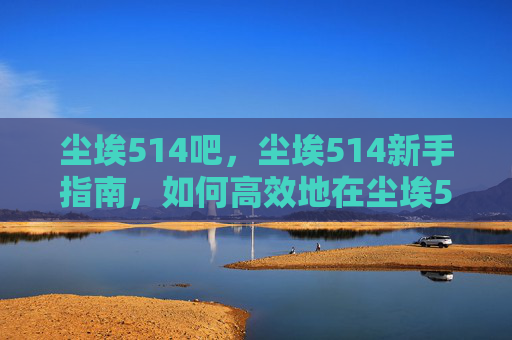 尘埃514吧，尘埃514新手指南，如何高效地在尘埃514中生存与战斗