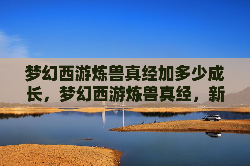 梦幻西游炼兽真经加多少成长，梦幻西游炼兽真经，新手玩家必知的炼兽技巧与策略