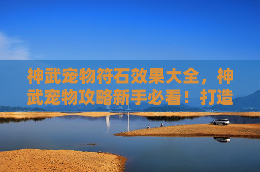 神武宠物符石效果大全，神武宠物攻略新手必看！打造你的专属战斗伙伴