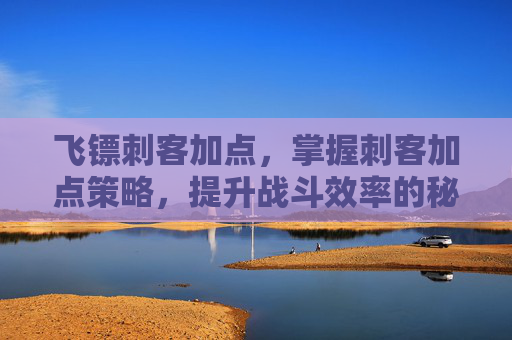 飞镖刺客加点，掌握刺客加点策略，提升战斗效率的秘诀
