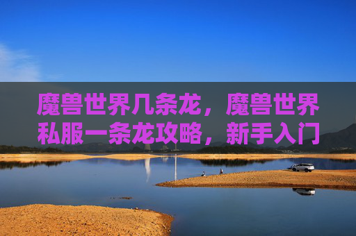 魔兽世界几条龙,魔兽世界私服一条龙攻略,新手入门与高级技巧全解析 魔兽世界几条龙,魔兽世界私服一条龙攻略,新手入门与高级技巧全解析