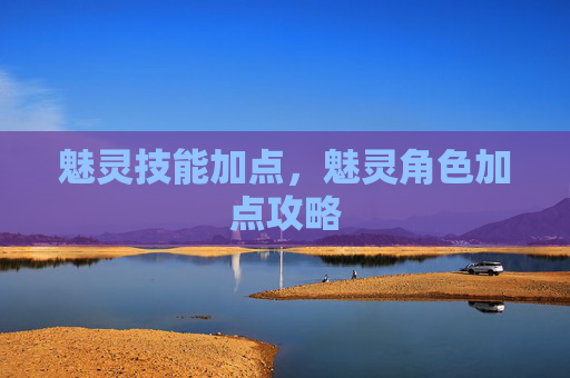 魅灵技能加点,魅灵角色加点攻略 魅灵技能加点,魅灵角色加点攻略