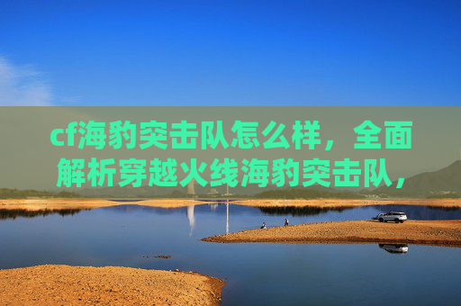 cf海豹突击队怎么样，全面解析穿越火线海豹突击队，优势、劣势与实战攻略