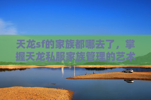 天龙sf的家族都哪去了，掌握天龙私服家族管理的艺术，高效策略与实用技巧