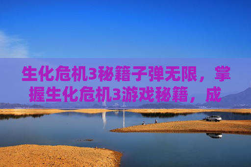 生化危机3秘籍子弹无限，掌握生化危机3游戏秘籍，成为生存大师！