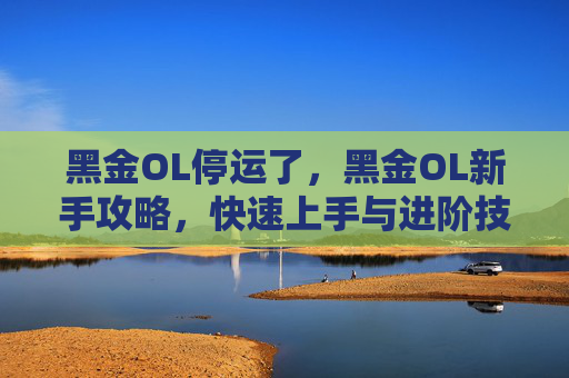 黑金OL停运了,黑金OL新手攻略,快速上手与进阶技巧 黑金OL停运了,黑金OL新手攻略,快速上手与进阶技巧
