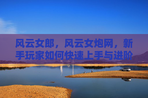 风云女郎，风云女炮网，新手玩家如何快速上手与进阶攻略