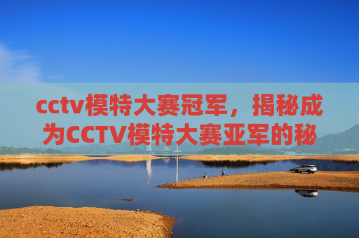 cctv模特大赛冠军，揭秘成为CCTV模特大赛亚军的秘诀，从准备到成功