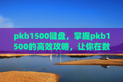 pkb1500键盘,掌握pkb1500的高效攻略,让你在数字世界中游刃有余 pkb1500键盘,掌握pkb1500的高效攻略,让你在数字世界中游刃有余