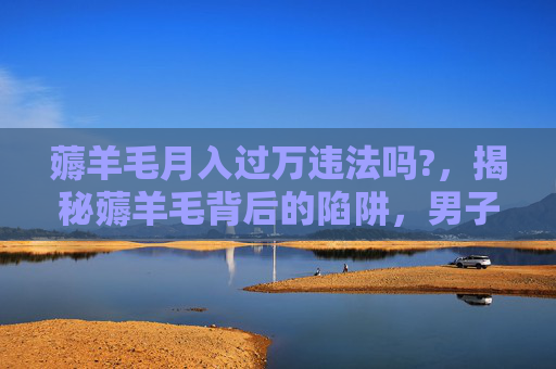 薅羊毛月入过万违法吗?，揭秘薅羊毛背后的陷阱，男子月入20万的神话是如何破灭的？