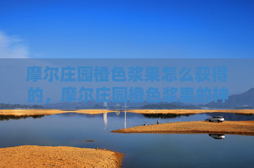 摩尔庄园橙色浆果怎么获得的，摩尔庄园橙色浆果的神秘获取之旅