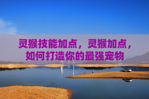 灵猴技能加点，灵猴加点，如何打造你的最强宠物