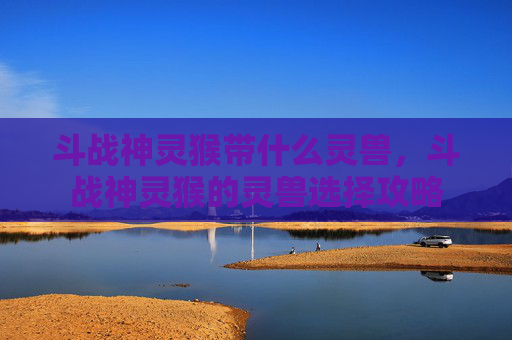 斗战神灵猴带什么灵兽，斗战神灵猴的灵兽选择攻略