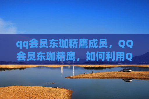qq会员东珈精鹰成员，QQ会员东珈精鹰，如何利用QQ会员特权提升你的在线体验