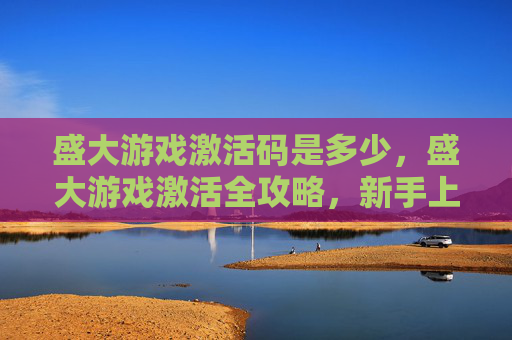 盛大游戏激活码是多少，盛大游戏激活全攻略，新手上路必看指南