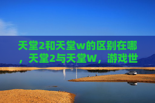 天堂2和天堂w的区别在哪,天堂2与天堂W,游戏世界的两大经典 天堂2和天堂w的区别在哪,天堂2与天堂W,游戏世界的两大经典