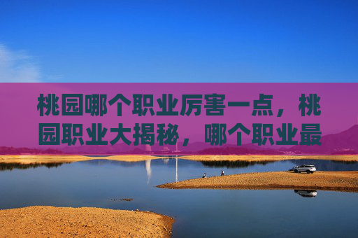 桃园哪个职业厉害一点，桃园职业大揭秘，哪个职业最值得投入？