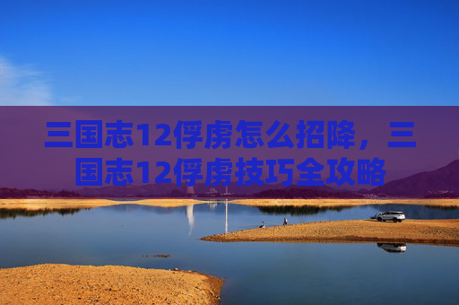 三国志12俘虏怎么招降，三国志12俘虏技巧全攻略
