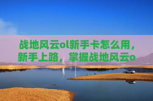 战地风云ol新手卡怎么用，新手上路，掌握战地风云ol的秘籍——新手卡攻略