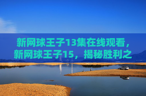 新网球王子13集在线观看，新网球王子15，揭秘胜利之路