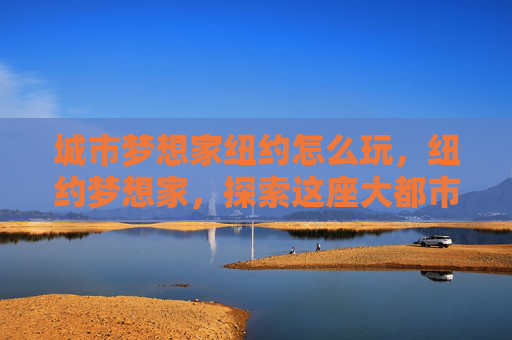城市梦想家纽约怎么玩，纽约梦想家，探索这座大都市的无限可能